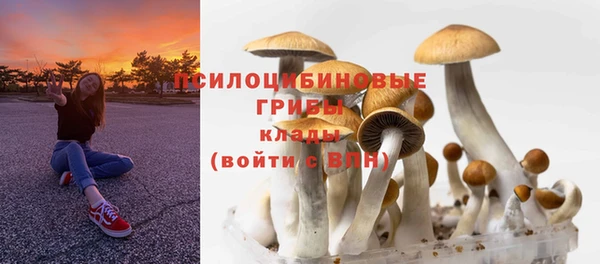 спиды Баксан