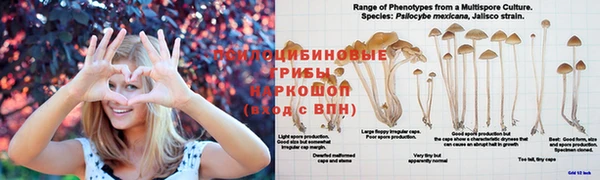 соль курить ск Балабаново